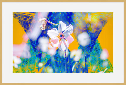 Flower Garden- Abstract Architecture Photography Framed Print | Modern Fine Art | by Kevin Quinn