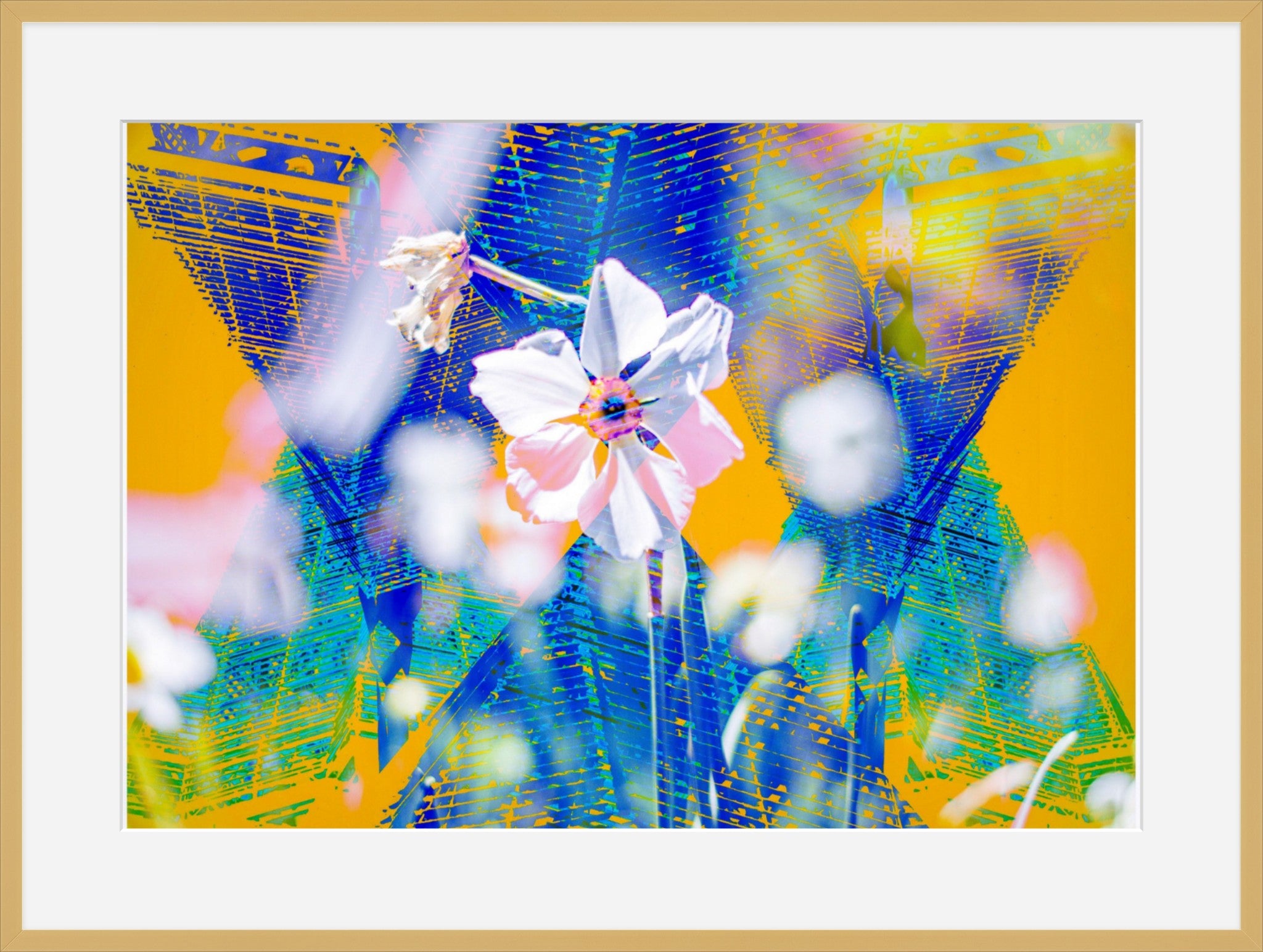 Flower Garden- Abstract Architecture Photography Framed Print | Modern Fine Art | by Kevin Quinn