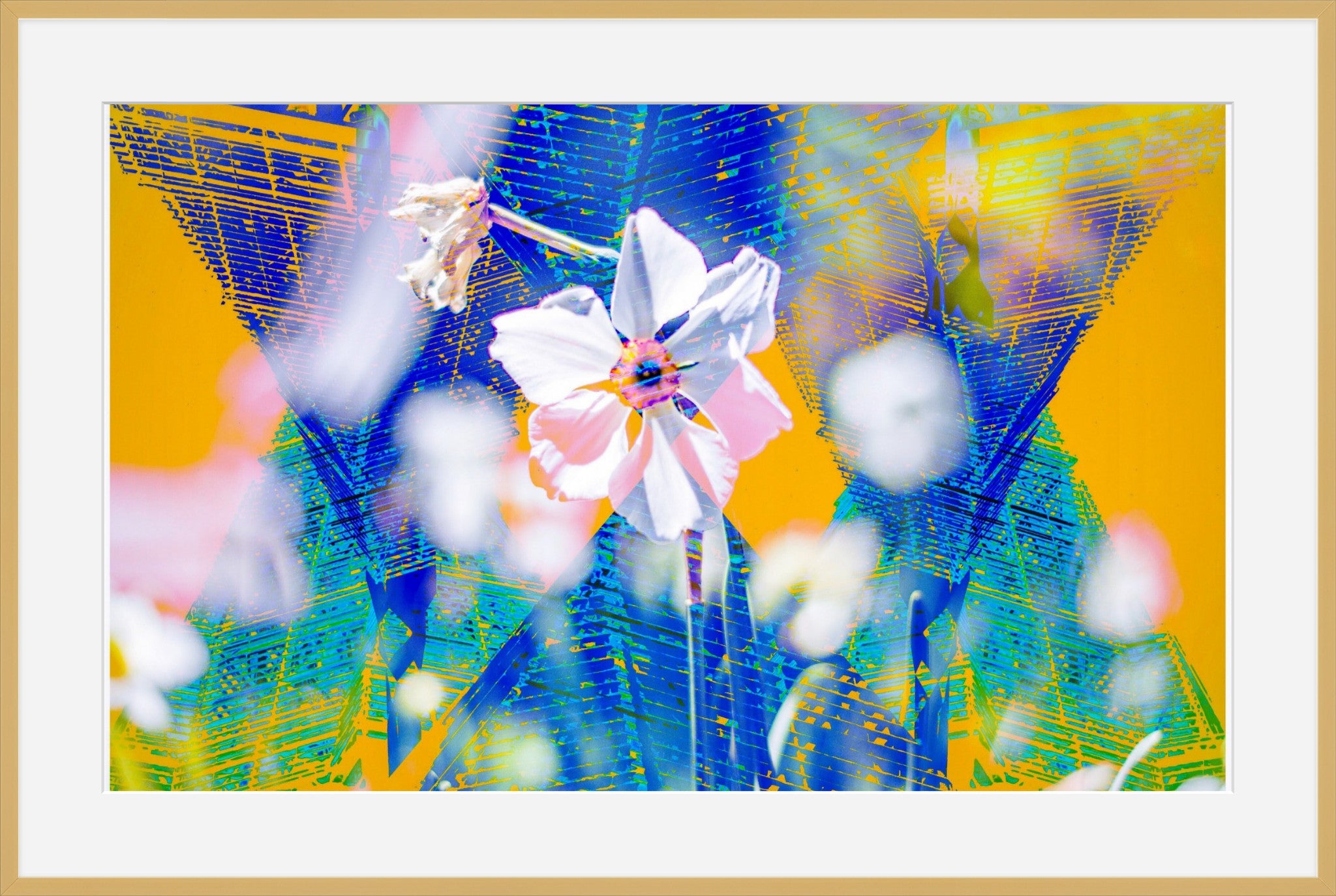 Flower Garden- Abstract Architecture Photography Framed Print | Modern Fine Art | by Kevin Quinn