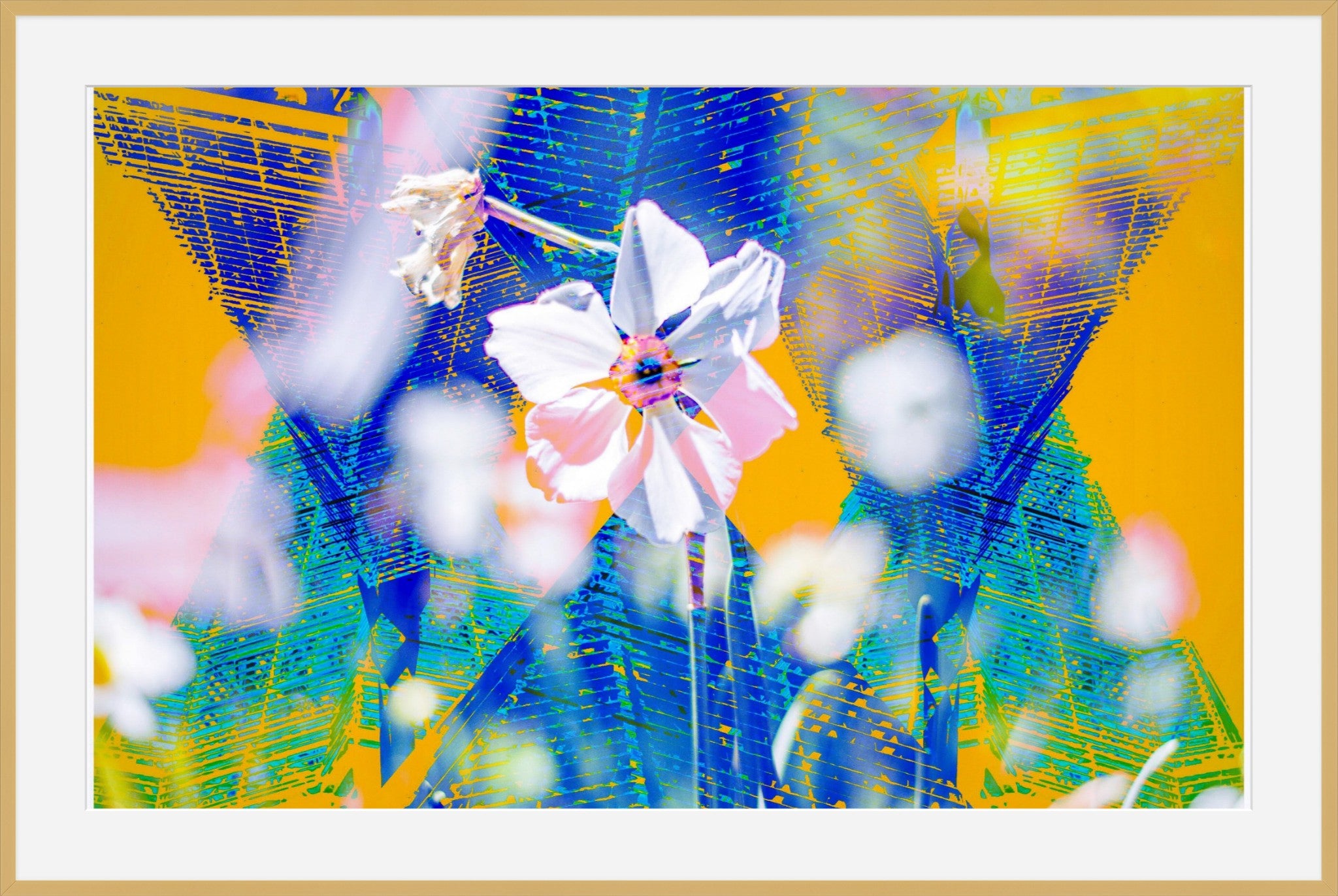 Flower Garden- Abstract Architecture Photography Framed Print | Modern Fine Art | by Kevin Quinn