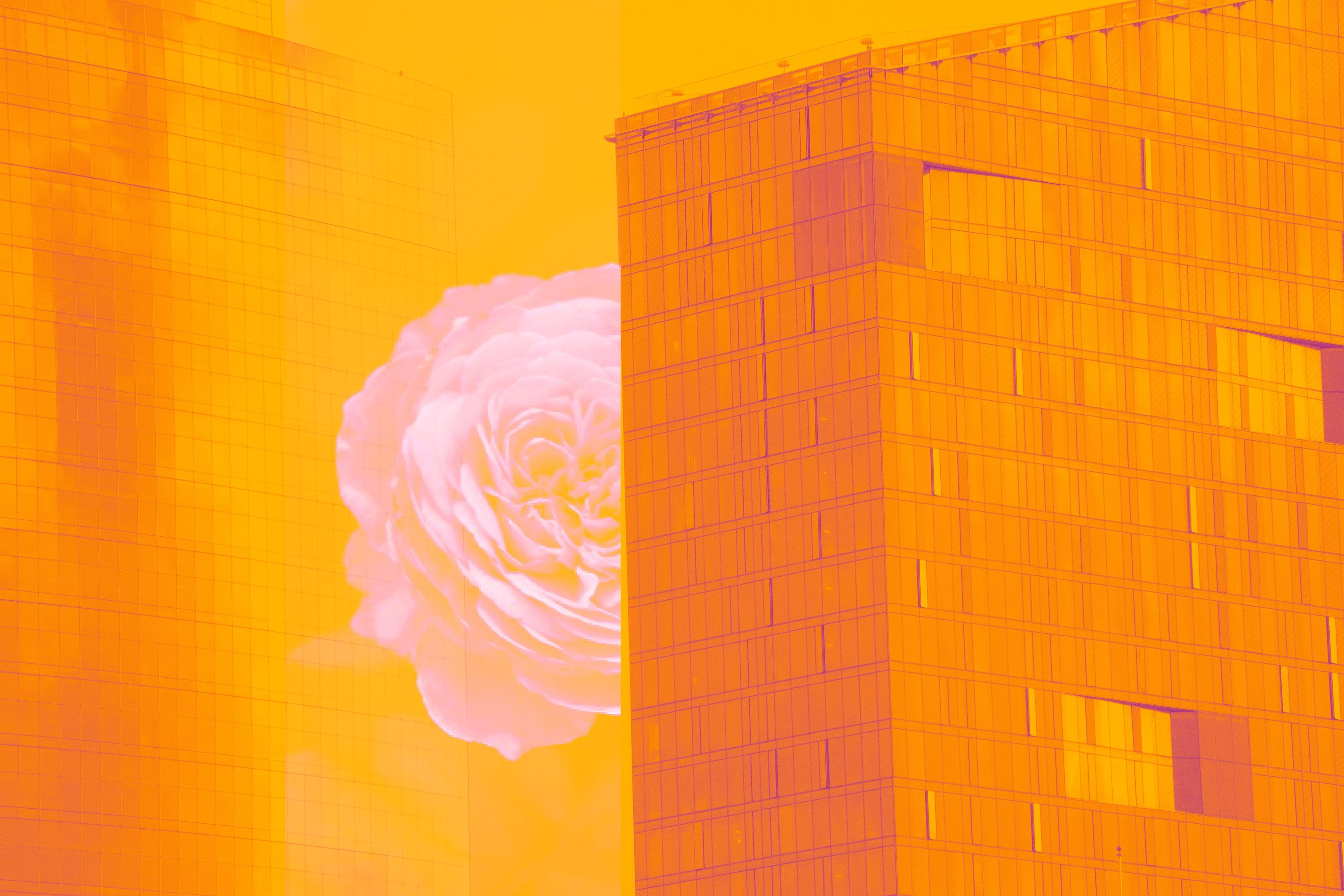 A Flower For You- Abstract Architecture Photography Print | Modern Wall Art | Digital Download by Kevin Quinn