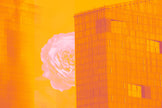 A Flower For You- Abstract Architecture Photography Print | Modern Wall Art | Digital Download by Kevin Quinn