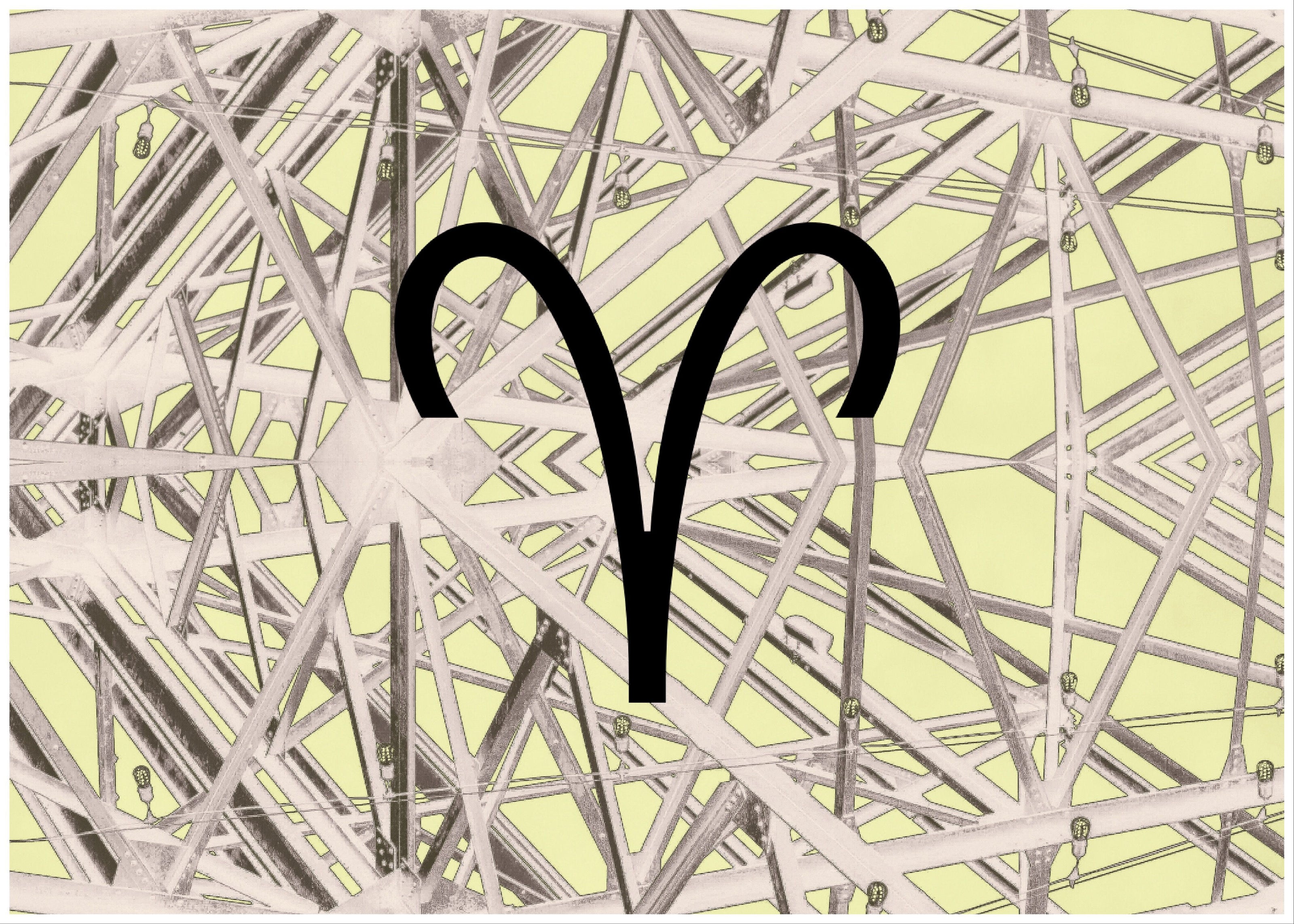 A Seagull Still Flies