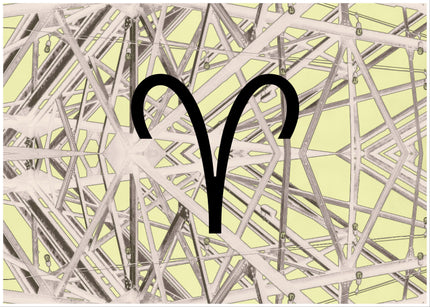 A Seagull Still Flies