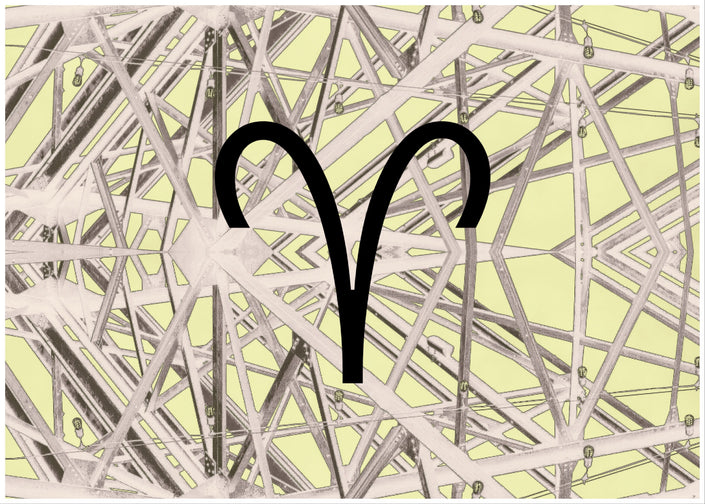 A Seagull Still Flies