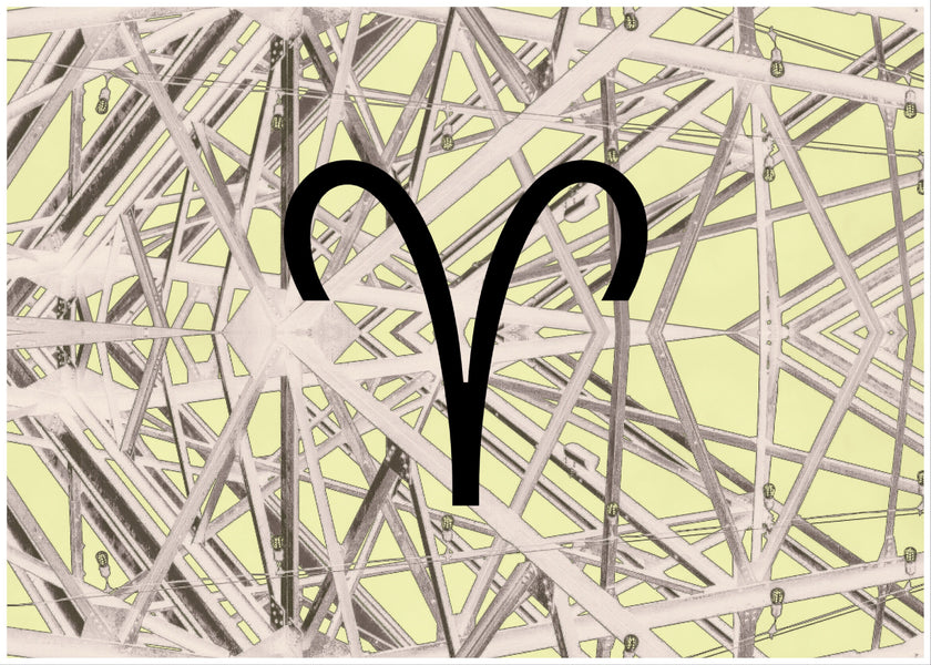 A Seagull Still Flies