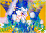Flower Garden- Abstract Architecture Photography Print | Modern Wall Art | Digital Download by Kevin Quinn