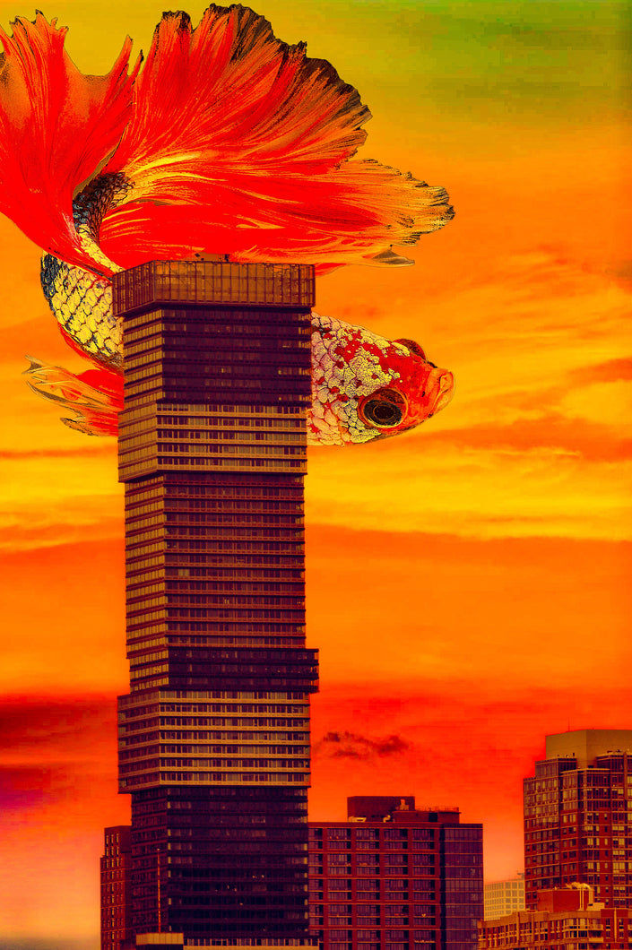 I AM- Abstract Architecture Photography Print | Modern Wall Art | Digital Download by Kevin Quinn