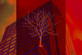 I Learn Something Everyday- Abstract Architecture Photography Print | Modern Wall Art | Digital Download by Kevin Quinn