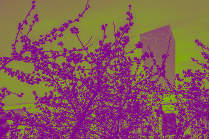 The Berry Patch- Abstract Architecture Photography Print | Modern Wall Art | Digital Download by Kevin Quinn