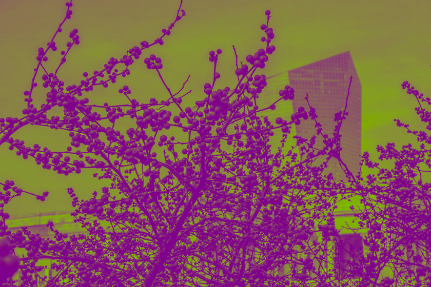 The Berry Patch- Abstract Architecture Photography Print | Modern Wall Art | Digital Download by Kevin Quinn