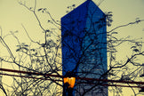 The Trees- Abstract Architecture Photography Print | Modern Wall Art | Digital Download by Kevin Quinn