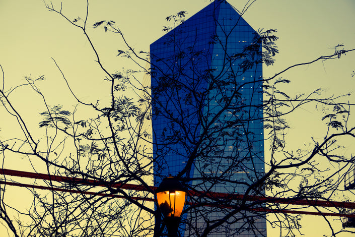 The Trees- Abstract Architecture Photography Print | Modern Wall Art | Digital Download by Kevin Quinn