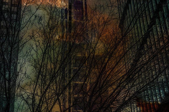 When The Leaves Went Home- Abstract Architecture Photography Print | Modern Wall Art | Digital Download by Kevin Quinn