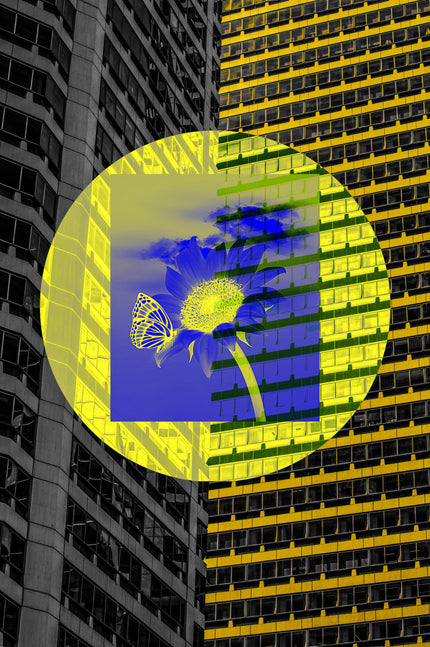 When The Sun Met A Flower